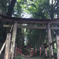 亀岡八幡宮の写真・動画_image_210432
