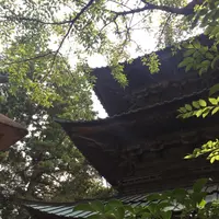 西明寺の写真・動画_image_210439