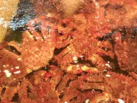 三角市場の写真・動画_image_210726