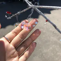 小樽大正硝子館の写真・動画_image_210743
