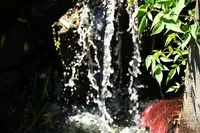 余呉湖の写真・動画_image_210821