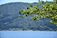 余呉湖の写真・動画_image_210826