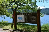 余呉湖の写真・動画_image_210834