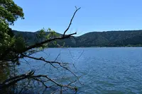 余呉湖の写真・動画_image_210835