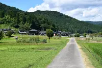 余呉湖の写真・動画_image_210838