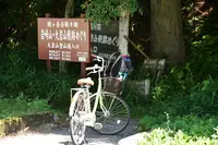 余呉湖の写真・動画_image_210843