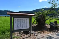 余呉湖の写真・動画_image_210844