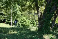 余呉湖の写真・動画_image_210848