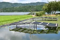 余呉湖の写真・動画_image_210850