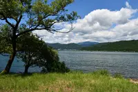 余呉湖の写真・動画_image_210855