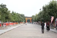 宇佐神宮の写真・動画_image_211238