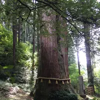 御岩神社の写真・動画_image_211460