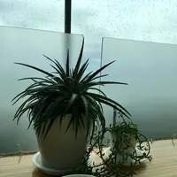 シーバーズカフェの写真・動画_image_211600