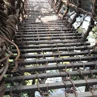 祖谷のかずら橋の写真・動画_image_211781