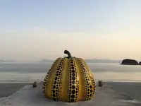 ベネッセハウス ミュージアムの写真・動画_image_212013