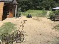 ごまめの写真・動画_image_212076