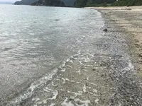 ヤドリ浜自然海水浴場の写真・動画_image_212079