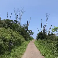 宮古崎の写真・動画_image_212097