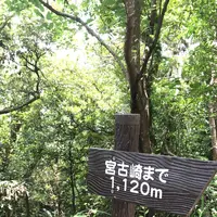 宮古崎の写真・動画_image_212100