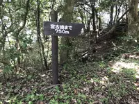 宮古崎の写真・動画_image_212101