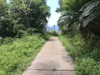 宮古崎の写真・動画_image_212102