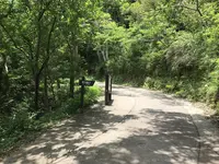 宮古崎の写真・動画_image_212103