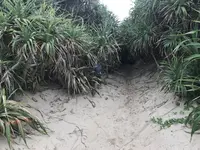 ハートロックの写真・動画_image_212125