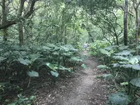 ハートロックの写真・動画_image_212127