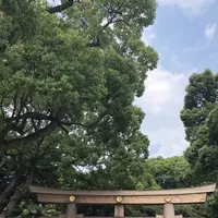 明治神宮の写真・動画_image_212403