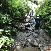 高尾山の写真・動画_image_212569