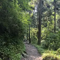 高尾山の写真・動画_image_212571