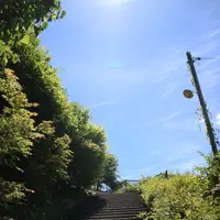 知井八幡神社の写真・動画_image_212575