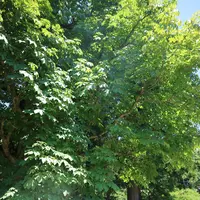 稲荷神社の写真・動画_image_212601