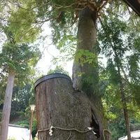 諏訪神社の写真・動画_image_212611