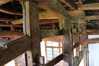 脱皮する家の写真・動画_image_212664