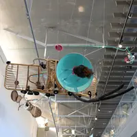 越後妻有里山現代美術館キナーレの写真・動画_image_212676