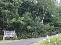 熊の湯の写真・動画_image_212704