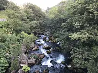 熊の湯の写真・動画_image_212707
