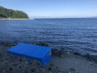 相泊温泉の写真・動画_image_212724