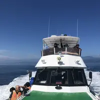 観光船・民宿はまなすの写真・動画_image_212827