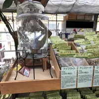 九十九里ハーブガーデンの写真・動画_image_212889
