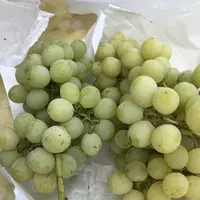 東金ぶどう郷の写真・動画_image_212892