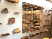 ピッコリーノの写真・動画_image_212905