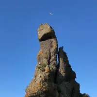 ゴジラ岩の写真・動画_image_213001