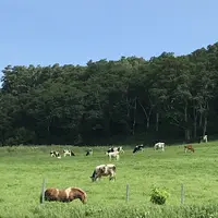 金森赤レンガ倉庫の写真・動画_image_213075