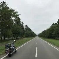日高町の写真・動画_image_213196