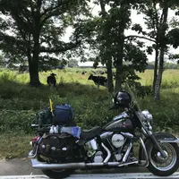 日高町の写真・動画_image_213201