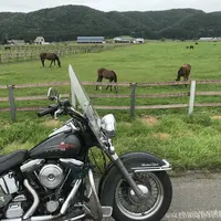 日高町の写真・動画_image_213203