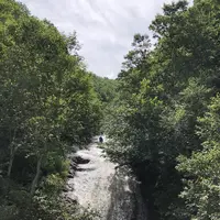 カムイワッカの湯の滝の写真・動画_image_213262