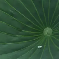 長沼の写真・動画_image_213283